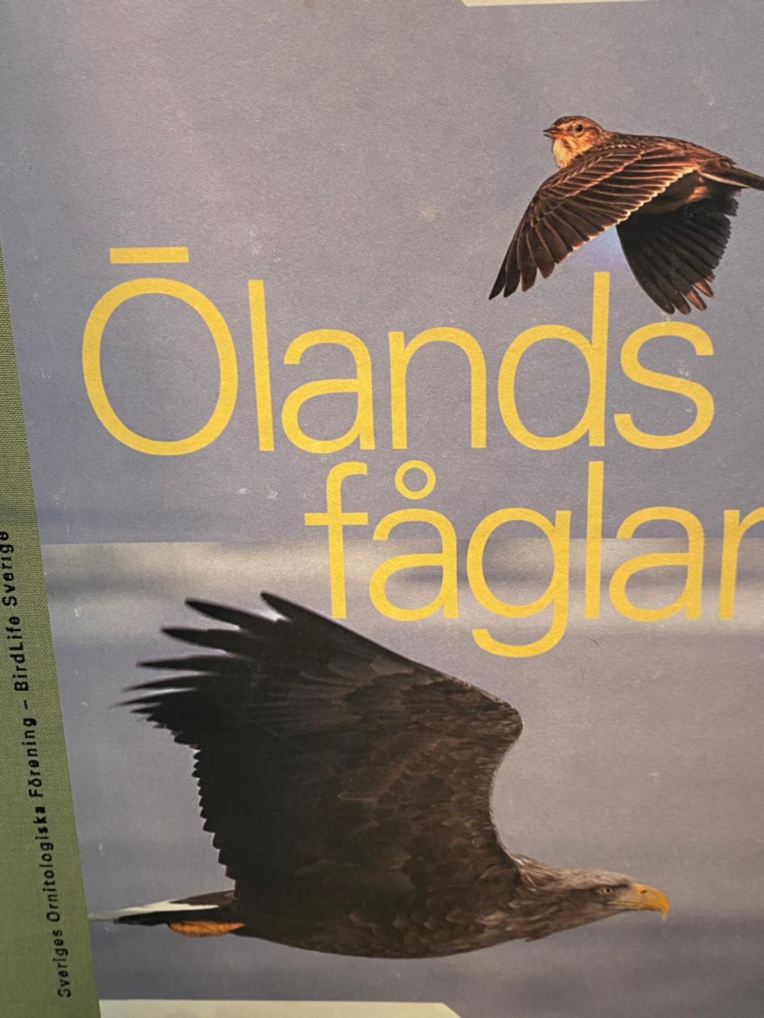 Idyliska Boende Mitt Pa Oeland Daire Färjestaden Dış mekan fotoğraf